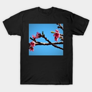 Peach Blossoms T-Shirt